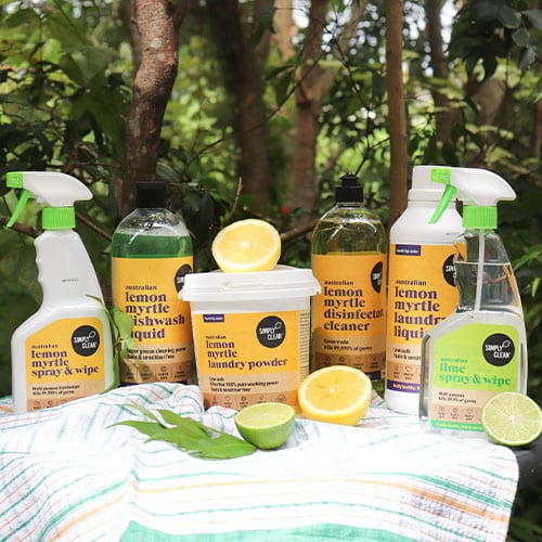Members Giveaway! Win a Simply Clean Prize Pack